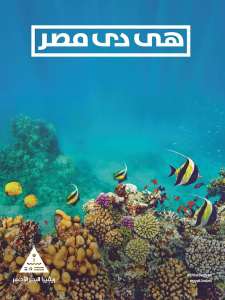 ETA-Arab Campaign - Red Sea Riviera 1